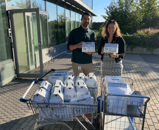 Návrh bez názvu (26).png