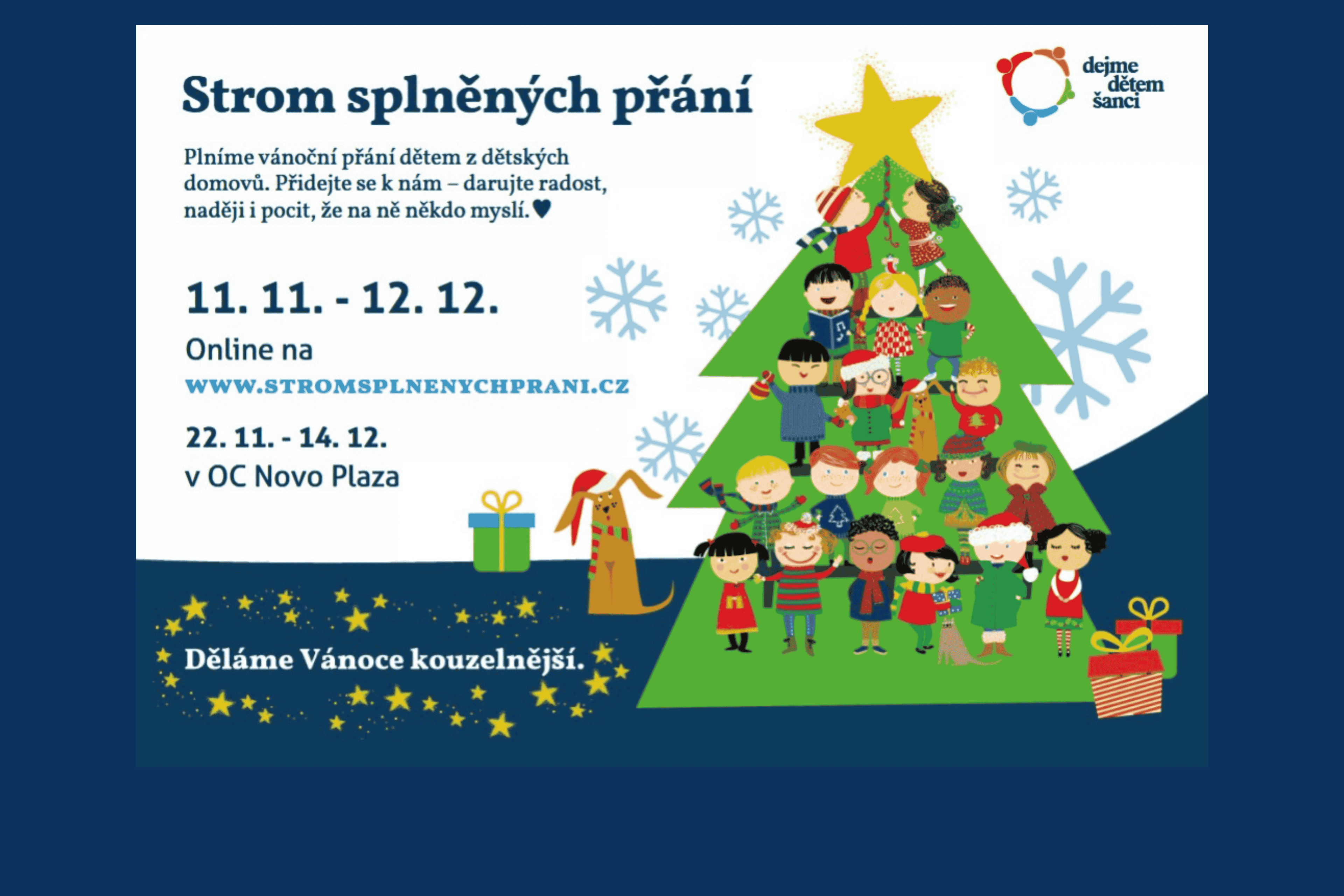 Zpráva o činnostu (15).png